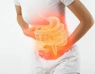 Alimentação saudável relacionada à rotina intestinal
